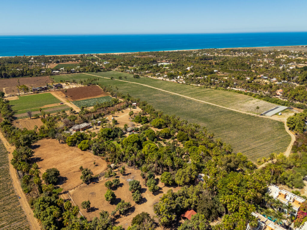 Los Cabos El Tule-Inland:General Rare investor opportunity in the San José Corridor. 2 luxury residences fully completed and move-in ready. 8 additional units with land secured and full blueprints in place -- ready to build to buyer's vision. At – El Tule, San Jose Corridor, BS